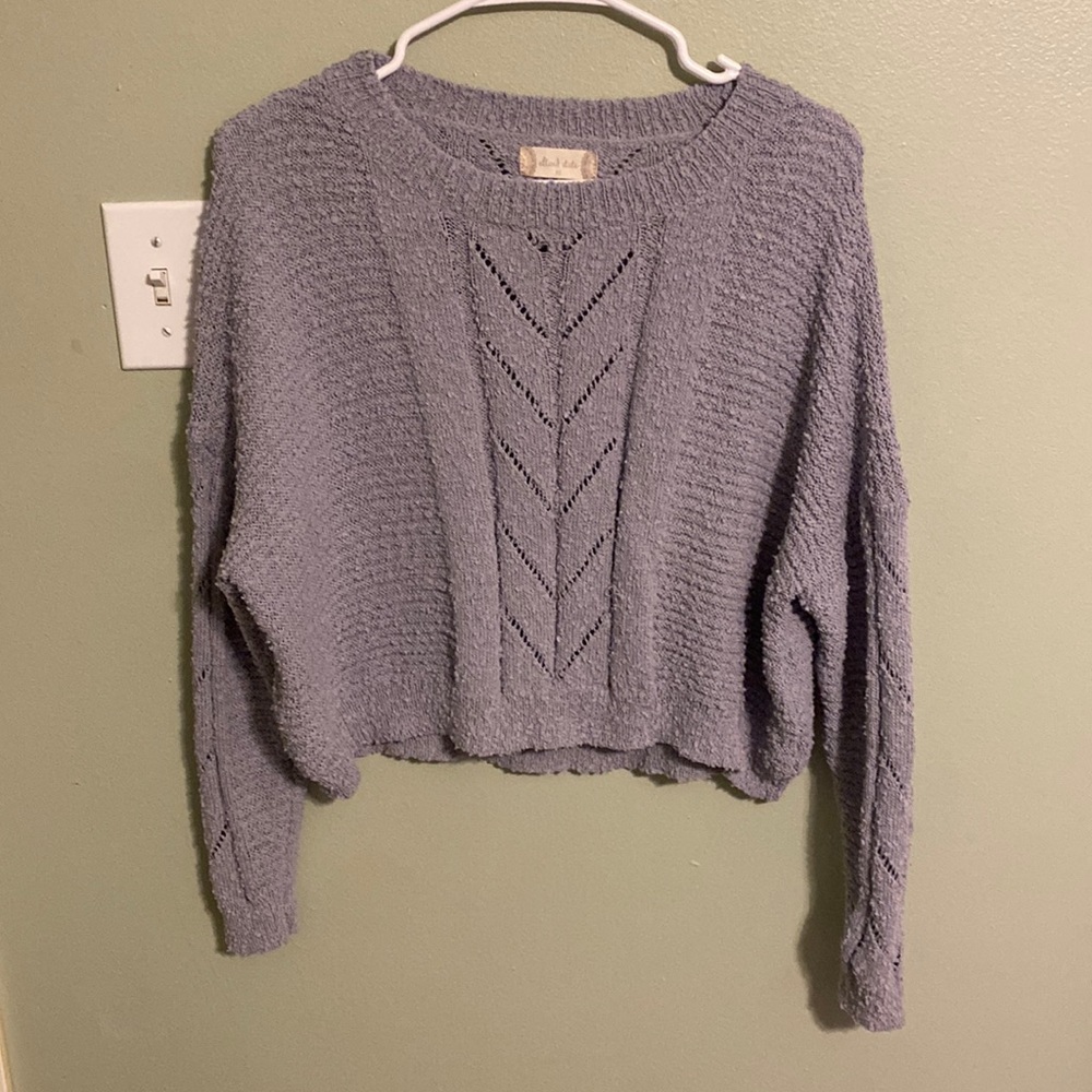 Light Blue Altard State Sweater